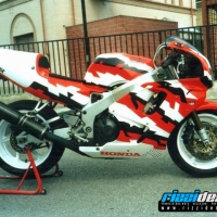 cbr pino falco
