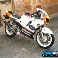 cbr rothmans
