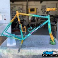 Rizzi-Design-Bicicletta-Pantani-006